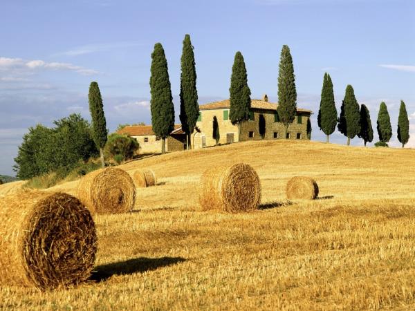 Tuscany: An agricultural land