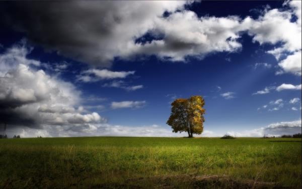 Landscape: Typical landscape