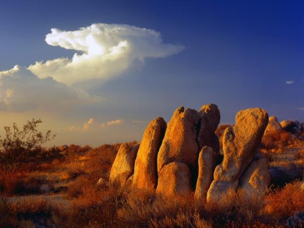 Desert
