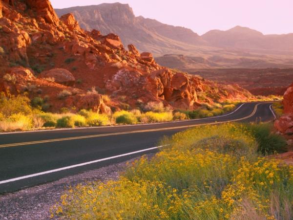 Nevada: Wow!